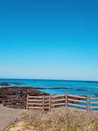 A Peaceful Local Beach for Tranquil Relaxation