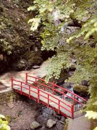 🌿 Solo Adventure: Shasui Falls – Tokyo’s Secret Waterfall Escape