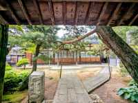 高山 | 海藏山雲龍寺，飛驒國最古老的曹洞宗寺廟