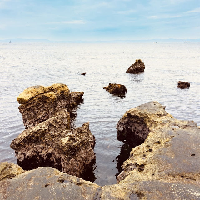 Coastal Serenity & Hidden History: A Solo Explorer’s Day in Yokosuka’s Best Parks"** 🌊🌳