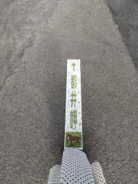 【宮崎】野生馬と灯台の絶景🌊都井岬で非日常の旅へ🐎