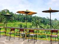 Greens That Breathe: A Morning at Tegallalang