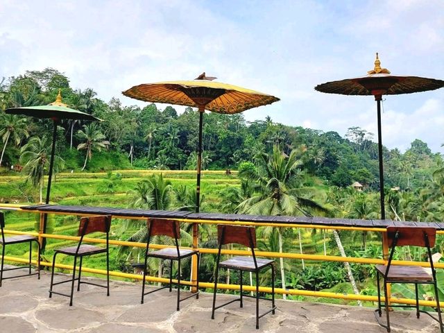 Greens That Breathe: A Morning at Tegallalang