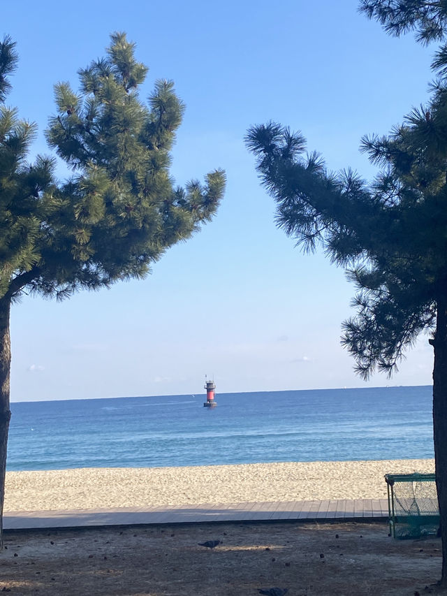 คังนึง ทะเลเกาหลีหน้าหนาวเป็นยังไง🇰🇷🌊