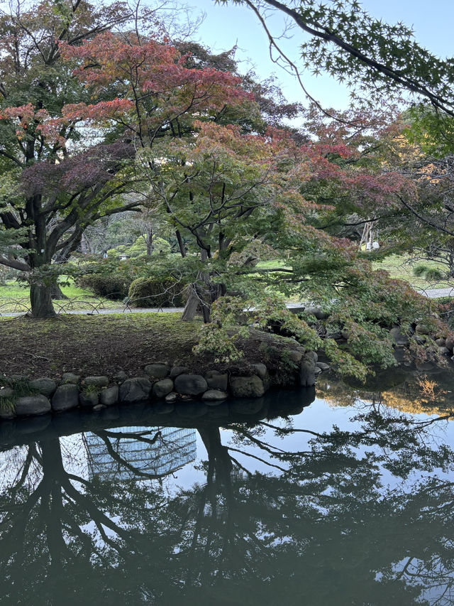 【東京　新宿御苑の早朝開園がスタート】