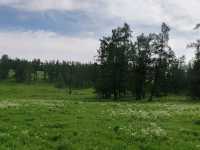 Beautiful Guanyutai: Wildflowers in Bloom