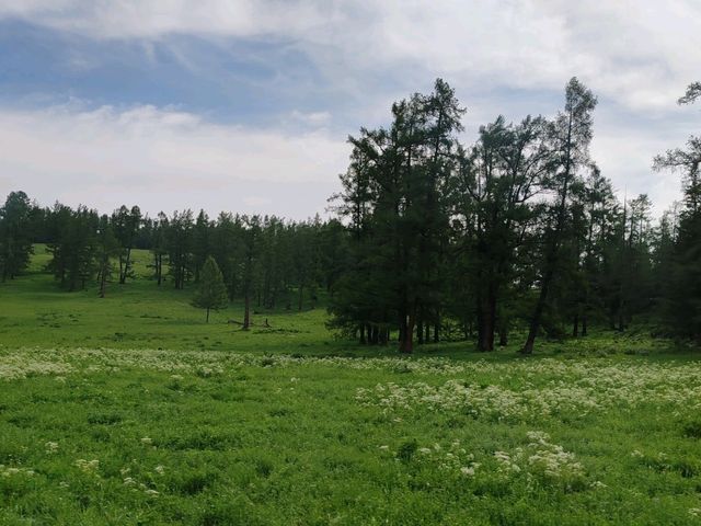 Beautiful Guanyutai: Wildflowers in Bloom