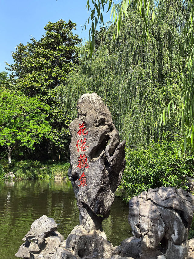 Huagang Garden 🐟🪷