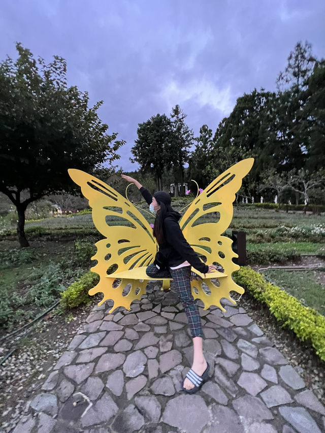 「小瑞士不在歐洲！南投清境這片花園美到像在童話裡🌸🏞️」