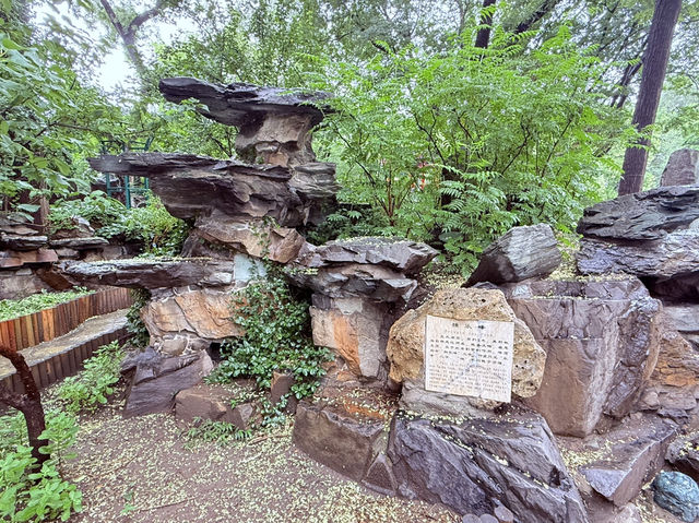 📍【北京 · 恭王府】 一日穿越王府時光，走進權傾一時的和珅宅邸。