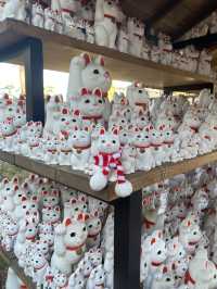 Gotokuji Temple in Tokyo