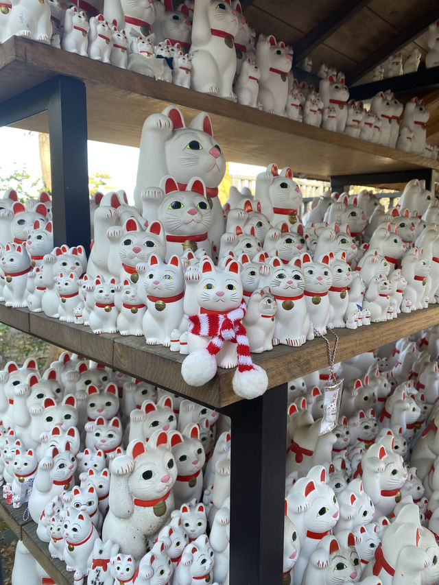 Gotokuji Temple in Tokyo