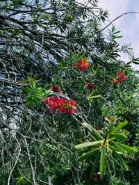 A Lakeside Stroll to Remember at Paya Indah Wetlands