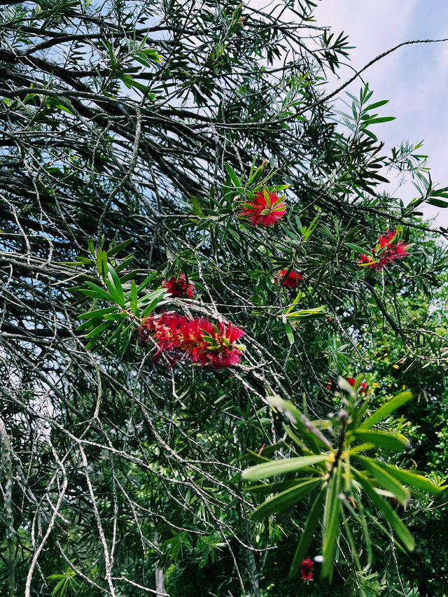 A Lakeside Stroll to Remember at Paya Indah Wetlands