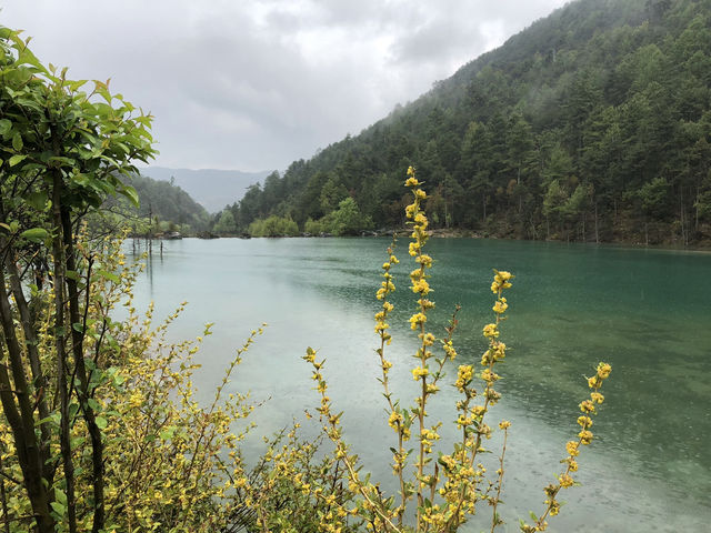 【藍月谷（Blue Moon Valley）｜雲南省・麗江 「白い石と青い水が織りなす、雪山のふもとの幻想エリア」】