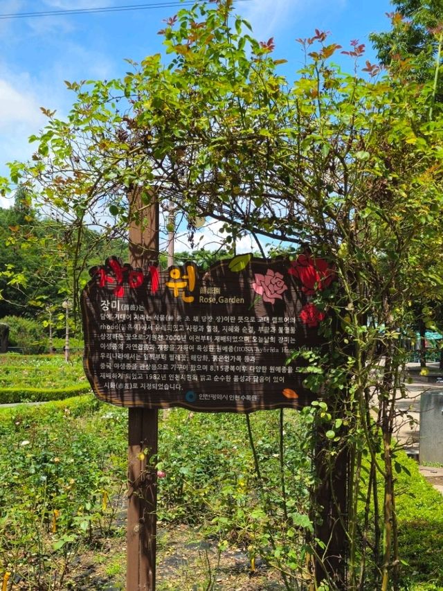 인천 장수동 인천대공원 봄 여름
