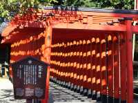🌿🏯 *Suizenji Jojuen Garden: A Miniature Kyoto in Kumamoto* 🎋🍵