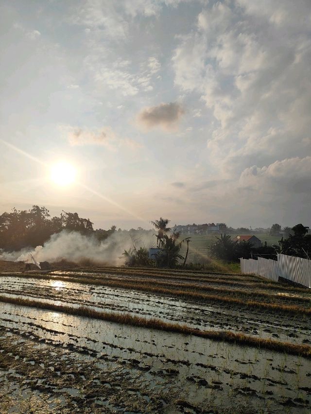 🌾 Bebek Sari Uma Tanah Lot: A Balinese Culinary Pause Amid the Paddy Fields