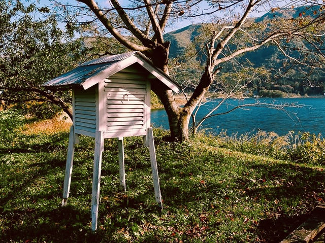 ⛩️🌲 *Togakushi Shrine Trail & Tsugaike Nature Park: A Spiritual Hike Through Japan’s Sacred Forests