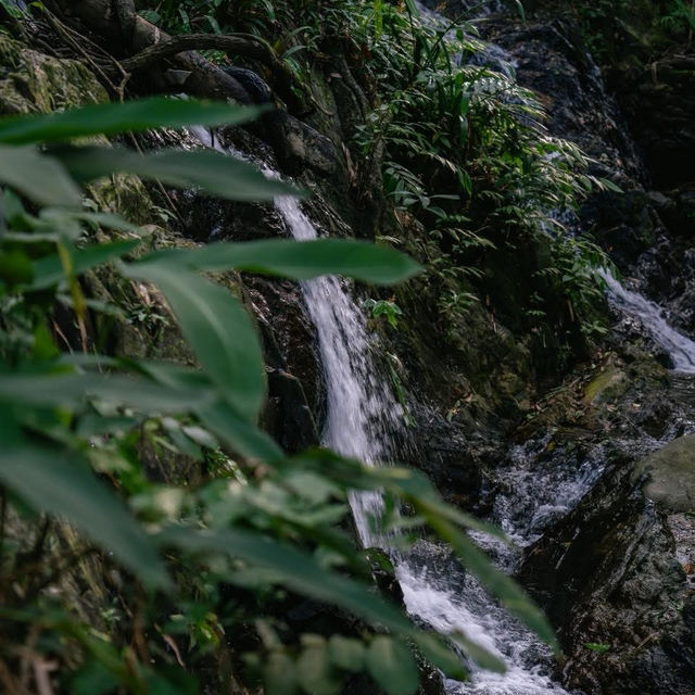 คาเฟ่เล็กๆ มีน้ำตกธรรมชาติ ⛰️💙