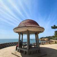 【中国/青島/魯迅公園】