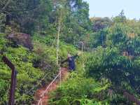 Hiking Bukit Besar, Setiu: Came for the View, Stayed for the Regret 