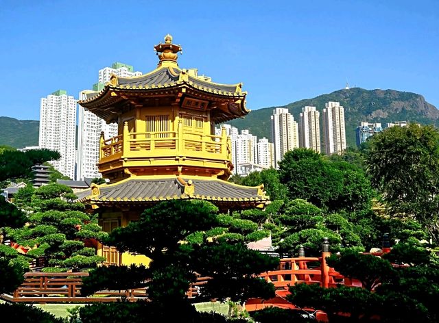 Zen in the City : Nan Lian Garden