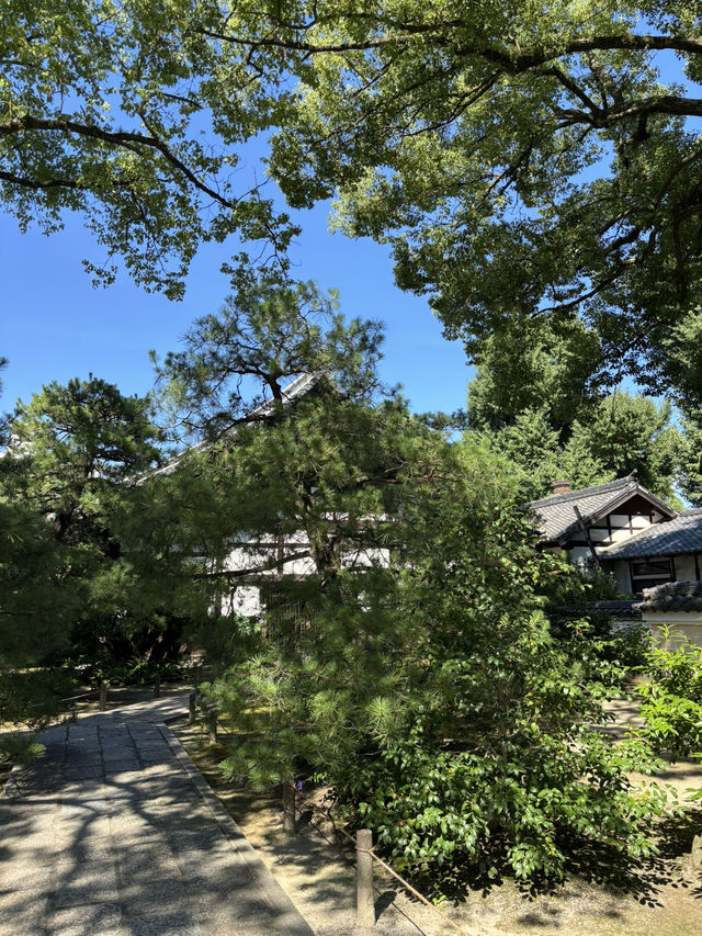 萬松山承天寺：博多粉食文化的起點