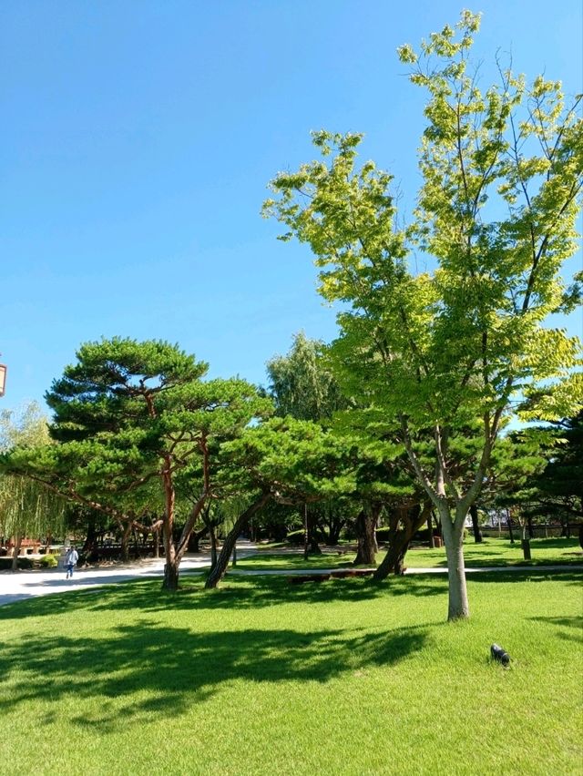 한 폭의 그림 같은 광한루원 산책길 🎋