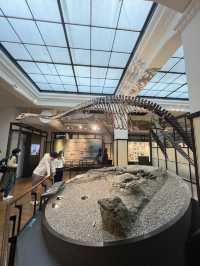 พิพิธภัณฑ์วิทยาศาสตร์โตเกียว 🐋🔭 Ueno Tokyo 
