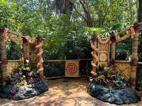 Step Into the Wild in Adventureland!