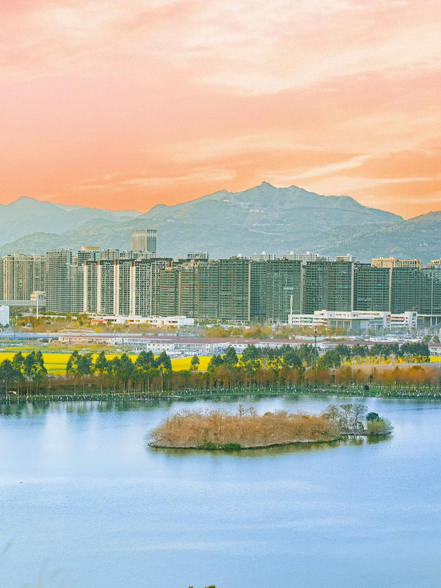 🌸Wenzhou Hidden Gem: Cherry Blossom Skywalk in Qinghe Park