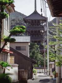 🇯🇵日本四國|古寺巡禮山林間的隱秘之地