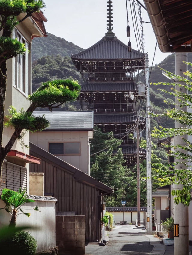 🇯🇵日本四國|古寺巡禮山林間的隱秘之地 🇯🇵日本四國|古寺巡禮山林間的隱秘之地