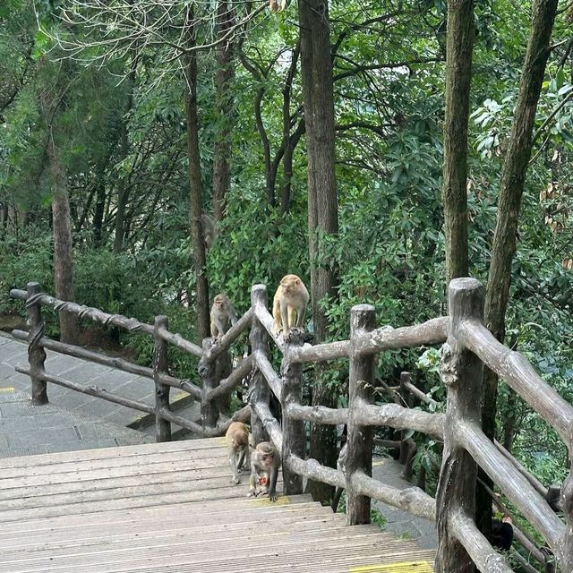 Floating Peaks of Zhangjiajie: Nature’s Avatar