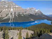 Peyto Lake – “Canada’s Wolf-Shaped Wonder”