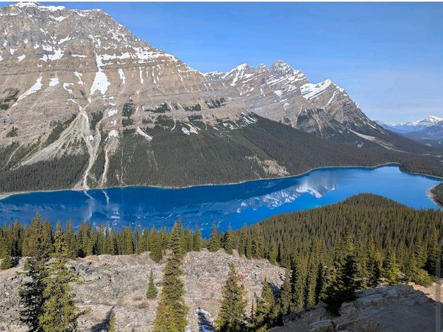 Peyto Lake – “Canada’s Wolf-Shaped Wonder”