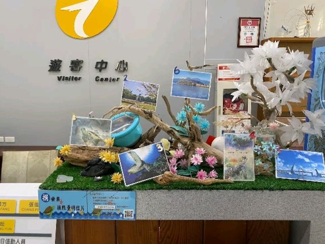 🐢 海龜學堂 × 生態人文探索｜小琉球「觀光署管理站」的綠色使命