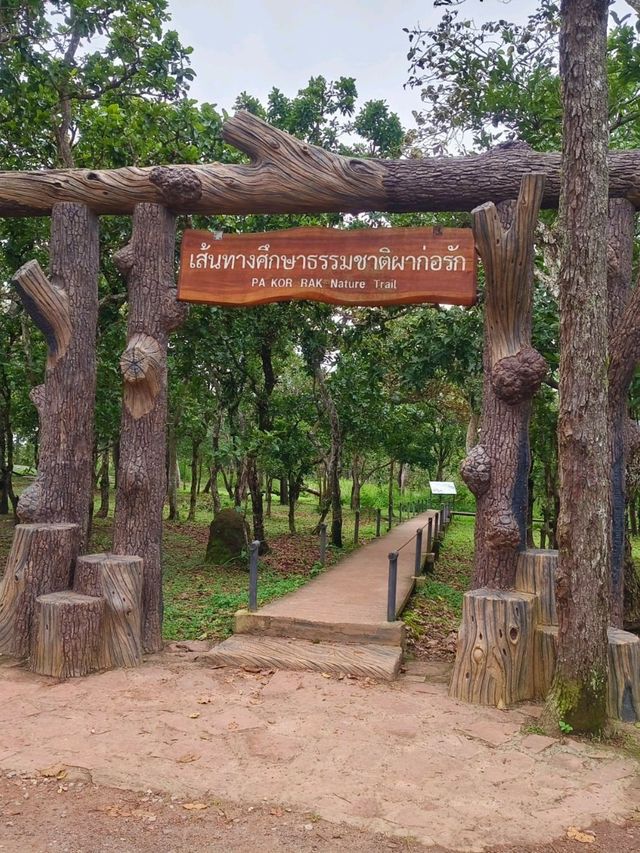ผาสุดแผ่นดิน อท.ป่าหินงาม ชัยภูมิ