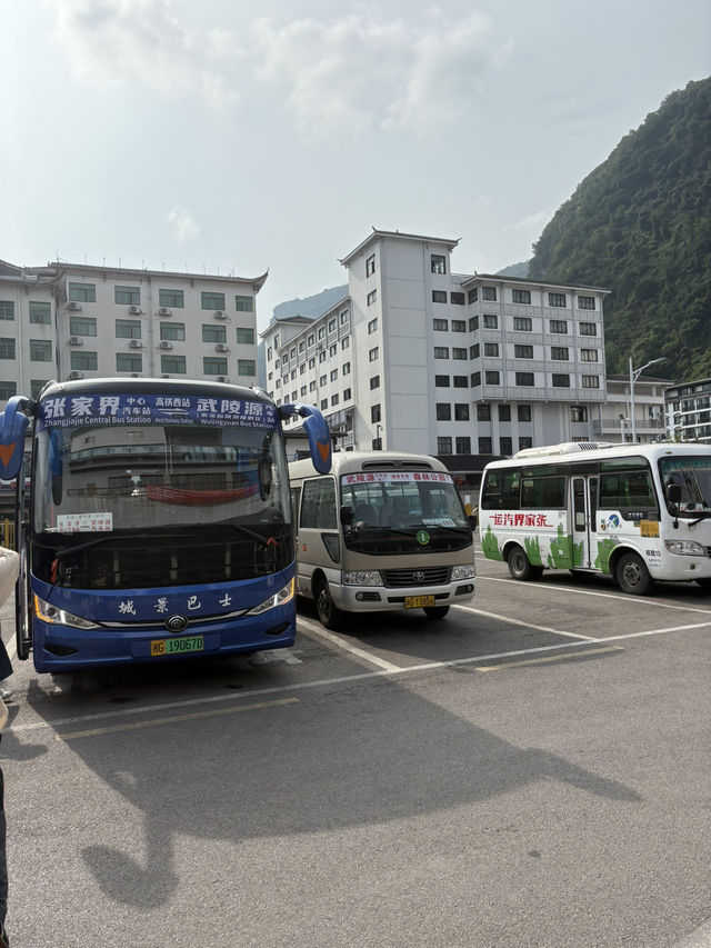 【🇨🇳張家界】大人気観光地”張家界”を最適ルートで巡る裏技！