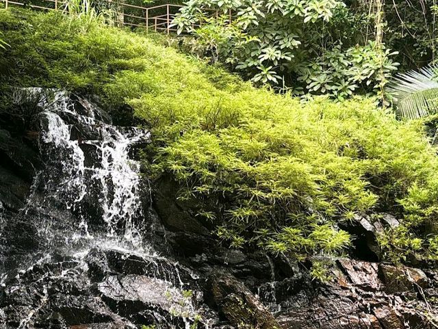 Yanoda Rainforest Cultural Tourism Zone (Hainan)