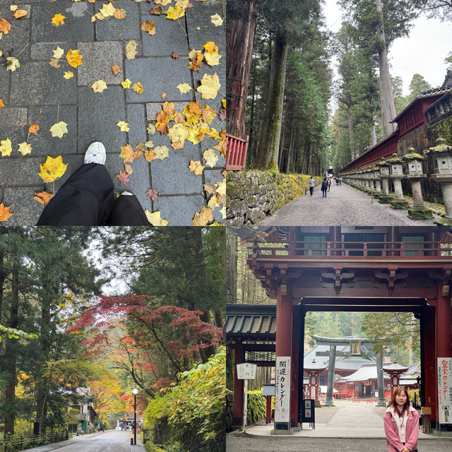 🌸 นิกโก้ – เมืองศักดิ์สิทธิ์ท่ามกลางธรรมชาติ 🌲🏯
