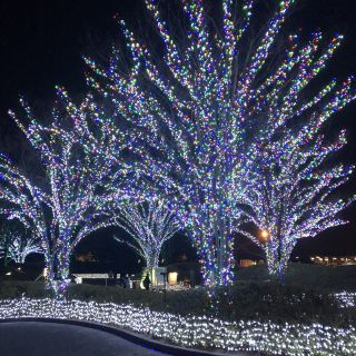 日本三重縣名花之里主題公園