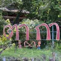 สวนป่าตากา คาเฟ่ อำเภอวังเจ้า จังหวัดตาก