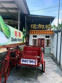 Snake Temple in Penang