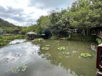 🌿 Yanoda — Hainan’s Tropical Rainforest Wonderland