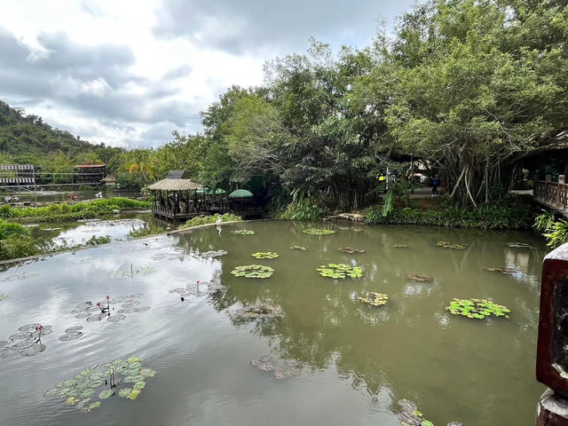 🌿 Yanoda — Hainan’s Tropical Rainforest Wonderland