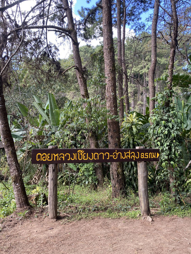 เดินป่า ศึกษาธรรมชาติ ดอยหลวงเชียงดาว ⛰️⭐️