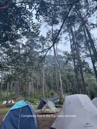 ลานกางเต็นท์ ย.2 ดอยขุนตาล