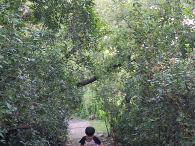 蘇澳七星嶺步道｜港灣全景最佳觀景點